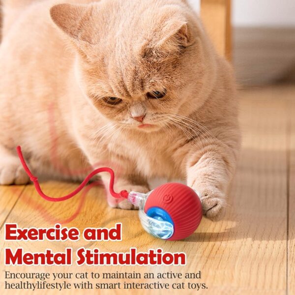 Cat Toys Ball – Smart Rolling LED Ball, Automatic & USB Rechargeable Motion Activate for Indoor Kitten Puppy Dog cat- Pet Exercise, IQ Training, Fun & Engaging Pet Toy