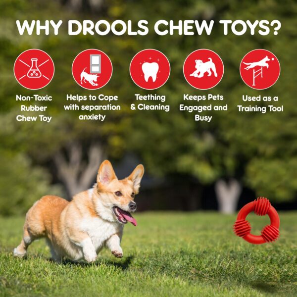 Drools Dog Non-Toxic Rubber Toy for Dogs, Trio Bolt Ring 130g Pack