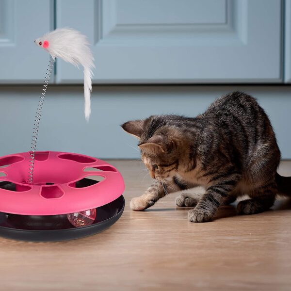 PSK PET MART Pet Interactive Kitten Toys Roller Tracks with Spring Teaser MousePet Toy with Exercise Balls Teaser Mouse Toy Ideal for Playing and Chewing Cats & Small Pets