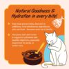 71e3-Z1v1aL._SL1500_.jpg Kennel Kitchen Wet Cat Food for Adults and Kittens, Fish Chunks in Gravy, 12 Pouches (12 X 80 GMS)