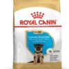 Royal Canin German Shepherd Puppy Food, 1 Kg, Dry Food, Supports Immune System & digestive health, Promotes Bone & Joint Health