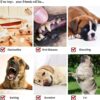 Foodie Puppies 7-in-1 Combo of Cotton Rope Toys for Small Dogs and Puppies - (2Knot, Slipper, Cornstick, Tennis, Handle Ball, Cotton Ball & Carrot) | Teething & Training Rope Chew Toy (Color May Vary)