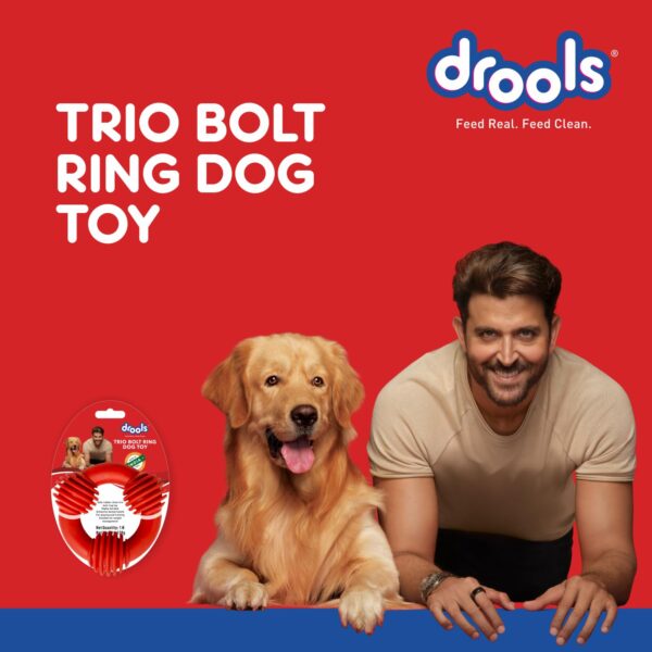 Drools Dog Non-Toxic Rubber Toy for Dogs, Trio Bolt Ring 130g Pack
