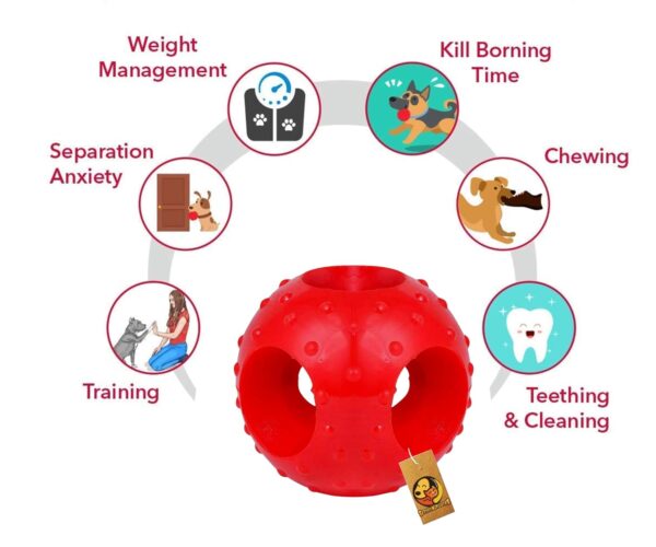 71f-XW4JMXL._SL1500_.jpg Foodie Puppies Interactive Rubber Chew Toy Combo for Dogs and Puppies - Spike Ball Toy + Hole Ball Toy | Durable, Training, Teething & Chewing | Reduce Separation Anxiety