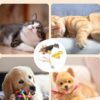 Cat Nip Bird Toys for Persian Cats, Interactive Laser Light Toys, 1 Set of Durable Feather for Indoor Cats, Engaging Playtime for Active