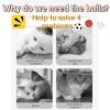 71fRk6xGb5L._SL1500_.jpg Cat Toys, 3PCS Bouncy Ball for Indoor Cats, Elastic Rubber Ball with Feathers, Interactive Kitten Toys for Persian Cats, Fun Exercise and Play for Cat