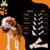 71gFJ0OjlrL._SL1500_.jpg All Life Stages Dog Rawhide Natural Bones (Dog Chews) (Size 3") (6Pcs)