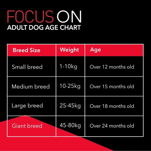 71gJrJHEkL._SL1500_.jpg Drools Focus Adult Super Premium Dry Dog Food, Meat Flavour, 1.2kg