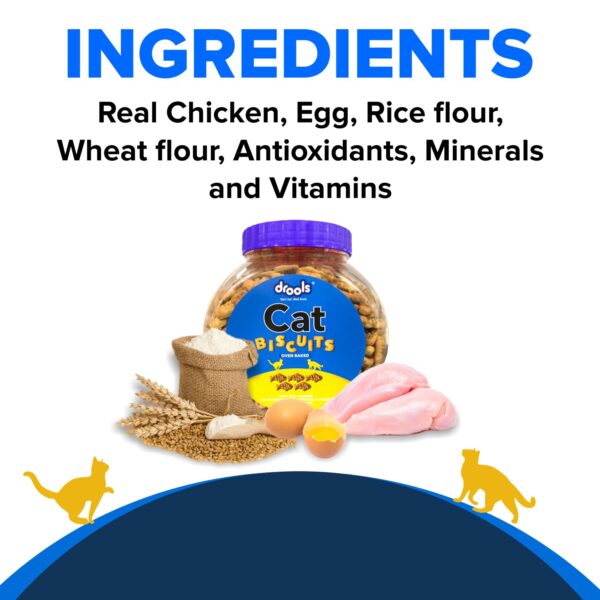 Drools Real Chicken Cat Biscuits, Treats Jar - 110gm, All Life Stages