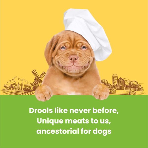 71geVePQnBL._SL1500_.jpg Barkbutler x Dogfest Dog Training Treats, Turkey & Flax Seeds, Superfood Treats for Adult Dogs, Bite-Sized Dog Treat for Puppies, 100% Natural Treats, Aids Digestion & Boosts Immunity