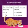 71ggHUGwReL._SL1500_.jpg Goofy Tails Tuna and Anchovies Wet Cat Food and Kitten Food, 350g (70g X 5 Pouches), Preservative Free, Gluten & Grain Free, Balanced Cat Wet Food, Powered by Taurine with Omega 3 & Antioxidants