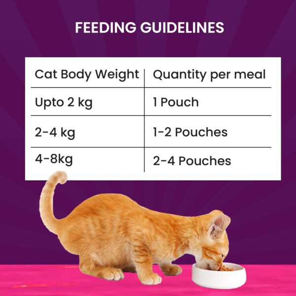 71ggHUGwReL._SL1500_.jpg Goofy Tails Tuna and Anchovies Wet Cat Food and Kitten Food, 350g (70g X 5 Pouches), Preservative Free, Gluten & Grain Free, Balanced Cat Wet Food, Powered by Taurine with Omega 3 & Antioxidants