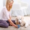 Interactive Dog Toys Ball, USB Rechargeable, Motion Activated Automatic Rolling Ball with Lights, Boredom Relief Exercise Pet Toy for Small, Medium, Large Dogs, Blue