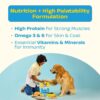 71h82Q92JKL._SL1500_.jpg Good Dog Adult Dry Dog Food | Oven Baked | Real Chicken & Eggs | 1.3 Kg | High-Protein | High Palatability | Nutritionally Formulated with Vitamins & Minerals | Indian Herbs | Suitable for All Breeds