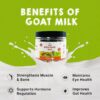 Goofy Tails Active Carrot and Yam Dental Stick 220g Dog Treats Non-Vegetarian, Dental Sticks for Dogs, Chew Sticks for Dogs, Dog Treats for Adult Dog and Puppies, Dog Chew Stick