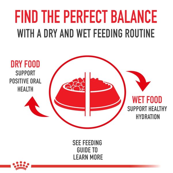 Royal Canin Health Nutrition Medium Adult Dog Dry Food (30 lbs)