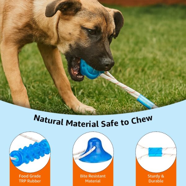 71hoUGzzgKL._SL1500_.jpg amazon basics Tug of War Interactive Dog Toy | Blue | Suction Cup | Chew Grip with Rope | Stimulating & Interactive Ball for Teeth Cleaning
