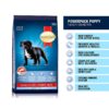 71i-UK2BQUL._SL1200_.jpg Smart Heart Puppy Dry Dog Food Power Pack 1 Kg