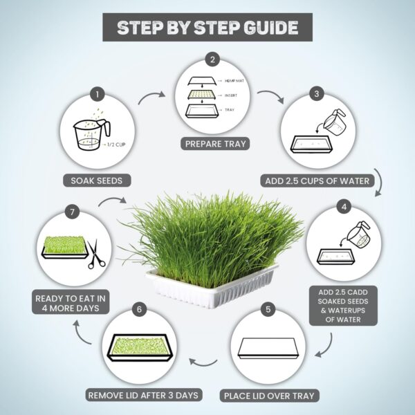 71i48fPCCmL._SL1500_.jpg Trixie Cat Grass Seeds with Plastic Planter for Kittens and All Cats, Soft, Vitamin-Rich, Easy Grow, Nutritious & Natural, Supports Health & Digestion, 100 g
