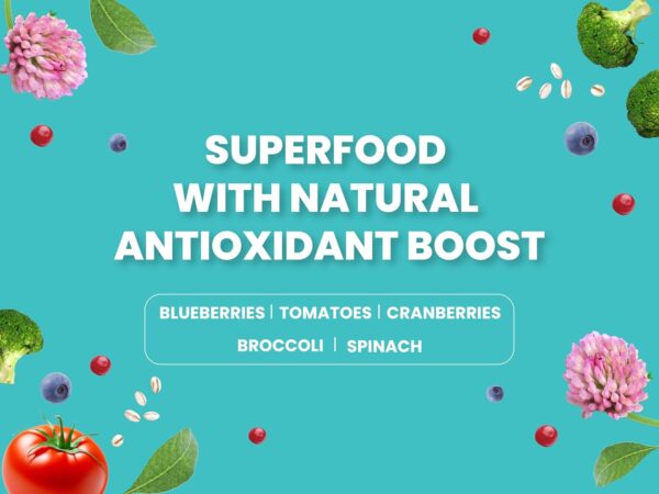 71i5O9F4fvL._SL1500_.jpg Bark Out Loud Adult Dry Dog Food for All Breeds – Salmon and Turkey Formula, Pet Nutrition, Rich in Novel Protein and Prebiotics, Fresh Salmon, Super Herbs Low Grain, 300 gm (100 gm x 3)