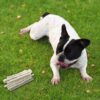 71i9HUk25tL._SL1100_.jpg ADB Creations Dog Food Chew Stick Milky Rawhide Calcium Twisted Munchie Treats Nutritional Benefits Strengthen Bones and Teeth for All Breeds Dogs and All Life Stages (400 gram)
