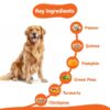 71iFdB4AcGL._SL1500_.jpg BLEP Fresh Dog Food (Wet) Human Grade, Grain Free|Paneer, Quinoa & Mixed Veggies|Omega 3, 6, Vitamin A, D, E, B|Zero Preservatives & Sugar|Easily Digestible|for All Dog Breeds|100g (Pack of 1)