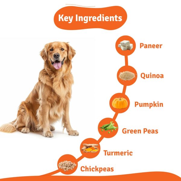 71iFdB4AcGL._SL1500_.jpg BLEP Fresh Dog Food (Wet) Human Grade, Grain Free|Paneer, Quinoa & Mixed Veggies|Omega 3, 6, Vitamin A, D, E, B|Zero Preservatives & Sugar|Easily Digestible|for All Dog Breeds|100g (Pack of 1)