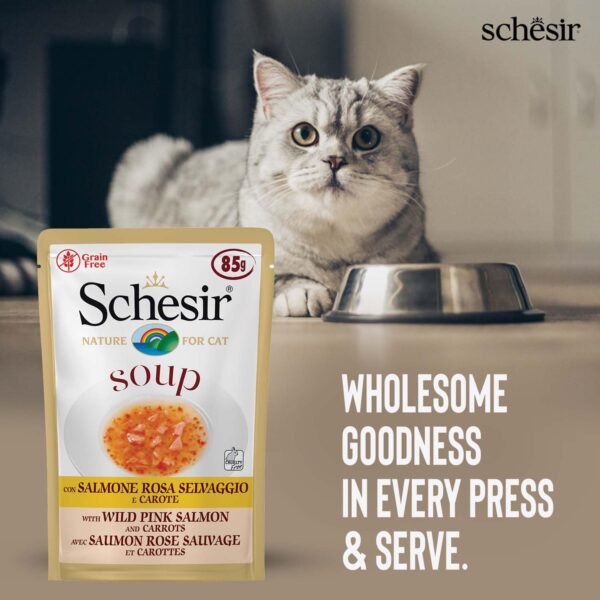 71iJ2rxQITL._SL1500_.jpg Schesir Pink Salmon & Carrot Cat Soup – Premium Wet Cat Food Pouch | Natural, High-Protein, Omega-Rich, Tasty Soup for Adult Cats – Supports Skin & Digestion, 85g (Pack of 2)