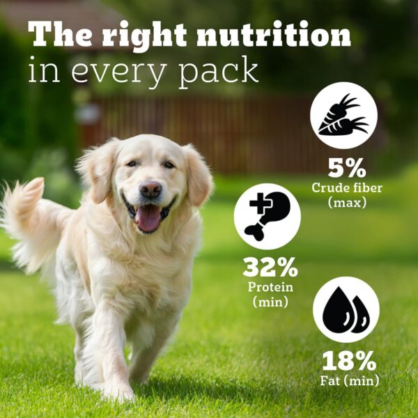 Pedigree PRO Mother & Pup Starter Large Breed, 1.2 kg Dry Dog Food, Vet Trusted Brand, Expert Nutrition, Quality Protein, 33% More Nutrients (3-12 Weeks)