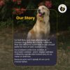 71ic9kfVrOL._SL1201_.jpg FUR BALL STORY Wag Boost Pet Food Topper 100g | Taste Enhancer & Nutrition for Dogs & Cats | Supports Immunity, Joint & Skin Health | Vet Recommended