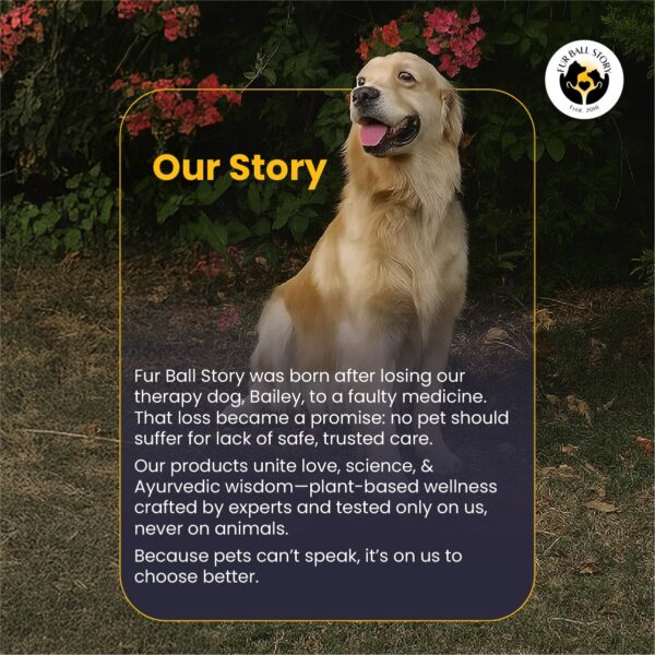 71ic9kfVrOL._SL1201_.jpg FUR BALL STORY Wag Boost Pet Food Topper 100g | Taste Enhancer & Nutrition for Dogs & Cats | Supports Immunity, Joint & Skin Health | Vet Recommended