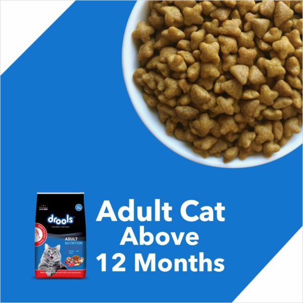 Drools Adult Dry Cat Food, Tuna Salmon 1.2 Kg Pack