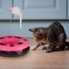 The Pets Company Toy with Ball Bell and Feather Mouse Attached for Cats and Kittens | Interactive Fun Toy for Training, Activity | Stimulates Play, Ideal For Exercise of Cats & Kittens(Color May Vary)