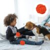 71j7AlGhs6L._SL1500_.jpg PremiumAV Knotted Durable Big Ball Rope Toy for Dogs & Puppies – Tough Chew Toy, Long-Lasting Dental Care & Interactive Fetch Toy for Aggressive Chewers