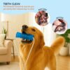 71jjDdJ5AzL._SL1500_.jpg amazon basics Tug of War Interactive Dog Toy | Blue | Suction Cup | Chew Grip with Rope | Stimulating & Interactive Ball for Teeth Cleaning