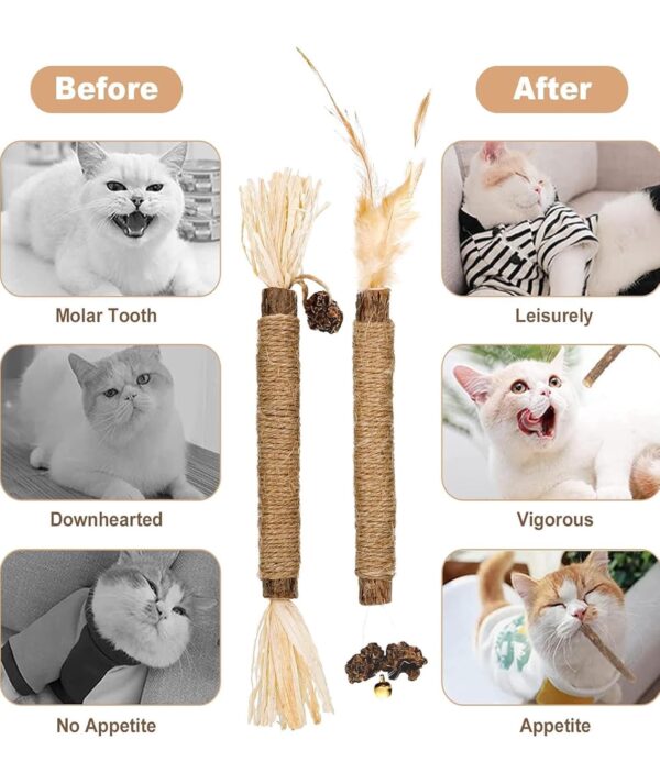 11 Pcs Cat Teething Toys Set, Kittens Catnip Cat Playing Toys for Daily Fun Cat Teething Toys Toys for Cats with 3 Varieties Durable Design for Cat Indoor Use and Daily Play