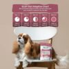 71k82l1ygLL._SL1500_.jpg BLEP Dog Food Adult & Puppy | 200g | Dog Wet Food, High Protein, Omega 3&6, Contains Chicken Breast, Broccoli, Fresh Vegetables, Zero Preservatives, Digestible, Human Grade Fresh (Pack of 1)