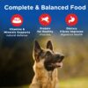 71kkS0PCLDL._SL1500_.jpg Chappi Adult (1+ Years) Dry Dog Food, Chicken & Rice, 20 kg, Complete and Balanced Food for Adult Dogs