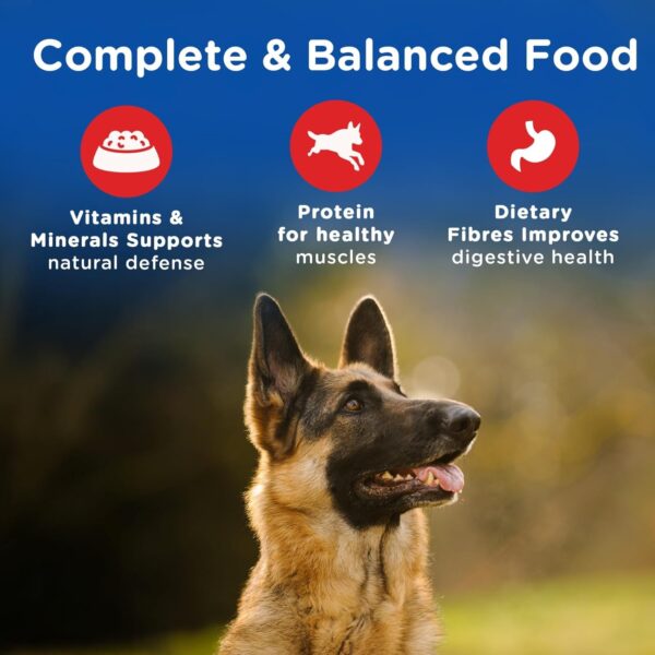 71kkS0PCLDL._SL1500_.jpg Chappi Adult (1+ Years) Dry Dog Food, Chicken & Rice, 20 kg, Complete and Balanced Food for Adult Dogs