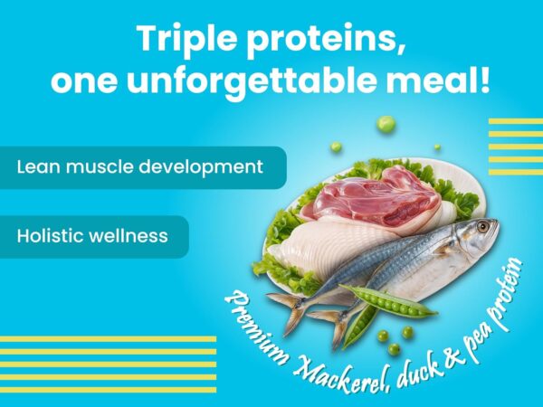 BARK OUT LOUD - Wet Cat Food Fresh Mackerel & Tuna | Omega Enriched, Salmon Oil, Taurine | No Sugar Gravy Cat Food for All Breeds | 85g (Pack of 6)