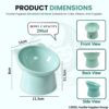 71lPLF25c5L._SL1500_.jpg Foodie Puppies Elevated Bowl Feeder Food Water for Cats, Kittens & Puppies (Set of 2) Persian Cat Food Bowl Tilted Raised Bowl (Color May Vary) Plastic, ?15L x 13.5W x 11.5H cms