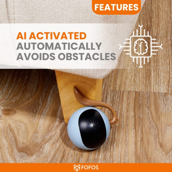 BarkButler X FOFOS Whirli Cat Toy - Interactive Cat Toys, Toys for Kitten and Adult Cats