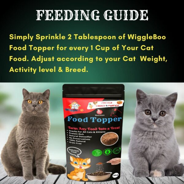 3 in 1 Magical Cat Food Topper || Joy of Best Taste || Chicken, Carrot & Pumpkin Flavour || Grain Free & Protein Rich ||Anti-Oxidant & Natural Dewormer || 70g