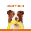 71lzHtCgGVL._SL1500_.jpg BarkButler x FOFOS Super Puller Tug Toy - Chew Toys for Dogs, Dog Toys for Large Dogs (5-40kgs) - Yellow & Grey