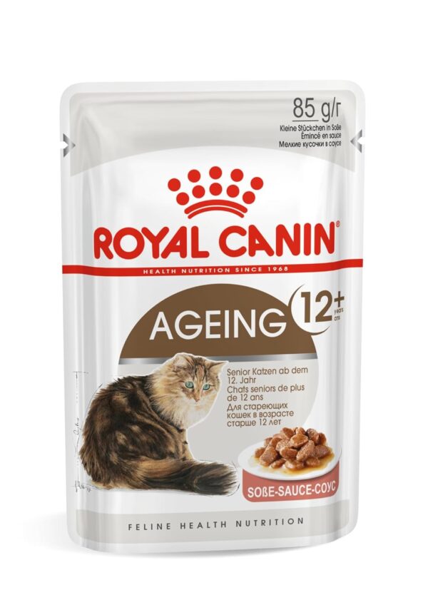 Royal Canin Ageing Cat Food, 85 Grams, Pack of 12 Sachet, Wet Food, Supports Joint & Renal Health, Instinctively Preferred by Ageing Cats