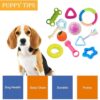 emily pets Dog Chew Combo of 10pcs Rubber Ring, Teether,Dumble Teether & Latex Non-Toxic for Dog & Puppy (Color May Vary)