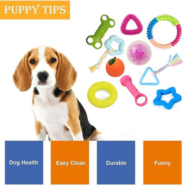 emily pets Dog Chew Combo of 10pcs Rubber Ring, Teether,Dumble Teether & Latex Non-Toxic for Dog & Puppy (Color May Vary)