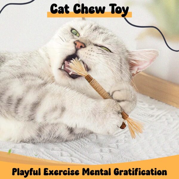 71mckWOT1L._SL1500_.jpg Silvervine Cat Toy - 1 Pack, Natural Matatabi Sticks for Indoor Cats, Kitten Chew Toys, Aggressive Chewers, Dental Toy for Kitten Teeth Cleaning