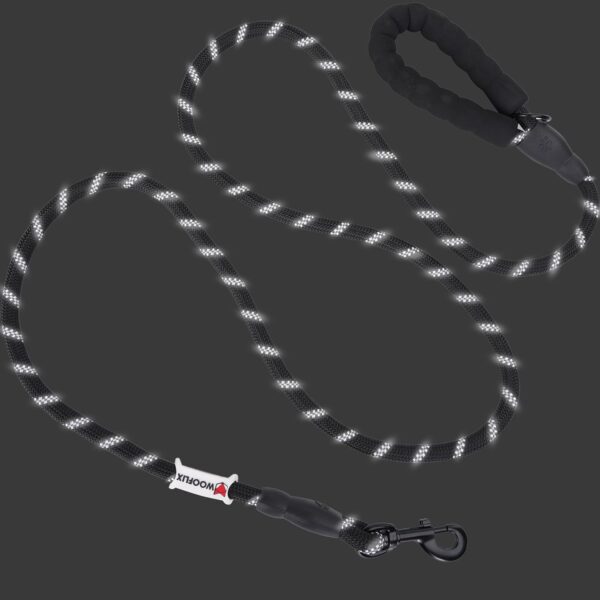 Wooflix Heavy Duty Nylon Dog Leash | Anti Slip Padded Handle Long Dog Leash | Highly Reflective Leash for Dogs | Dog Rope for Medium & Large Dogs | Dog Training Leash | (Black, 5 Feet Long)