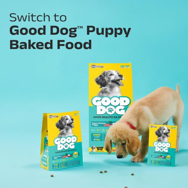 71mnkfYXiPL._SL1500_.jpg Good Dog Puppy Dry Dog Food | Oven Baked | Fresh Chicken & Eggs | 1.3 kg | Palatable Meal for Healthy Growth, Strong Bones, Immunity & Digestion | Nutritionally Crafted & Suitable for All Breeds